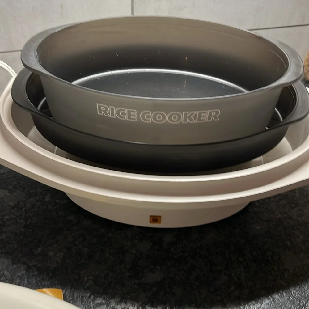 Rival vintage steamer